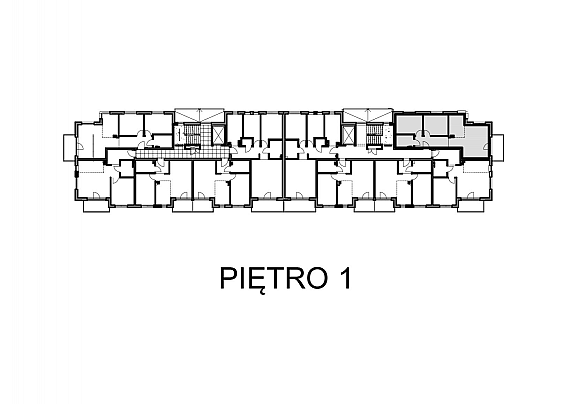 B.1.1